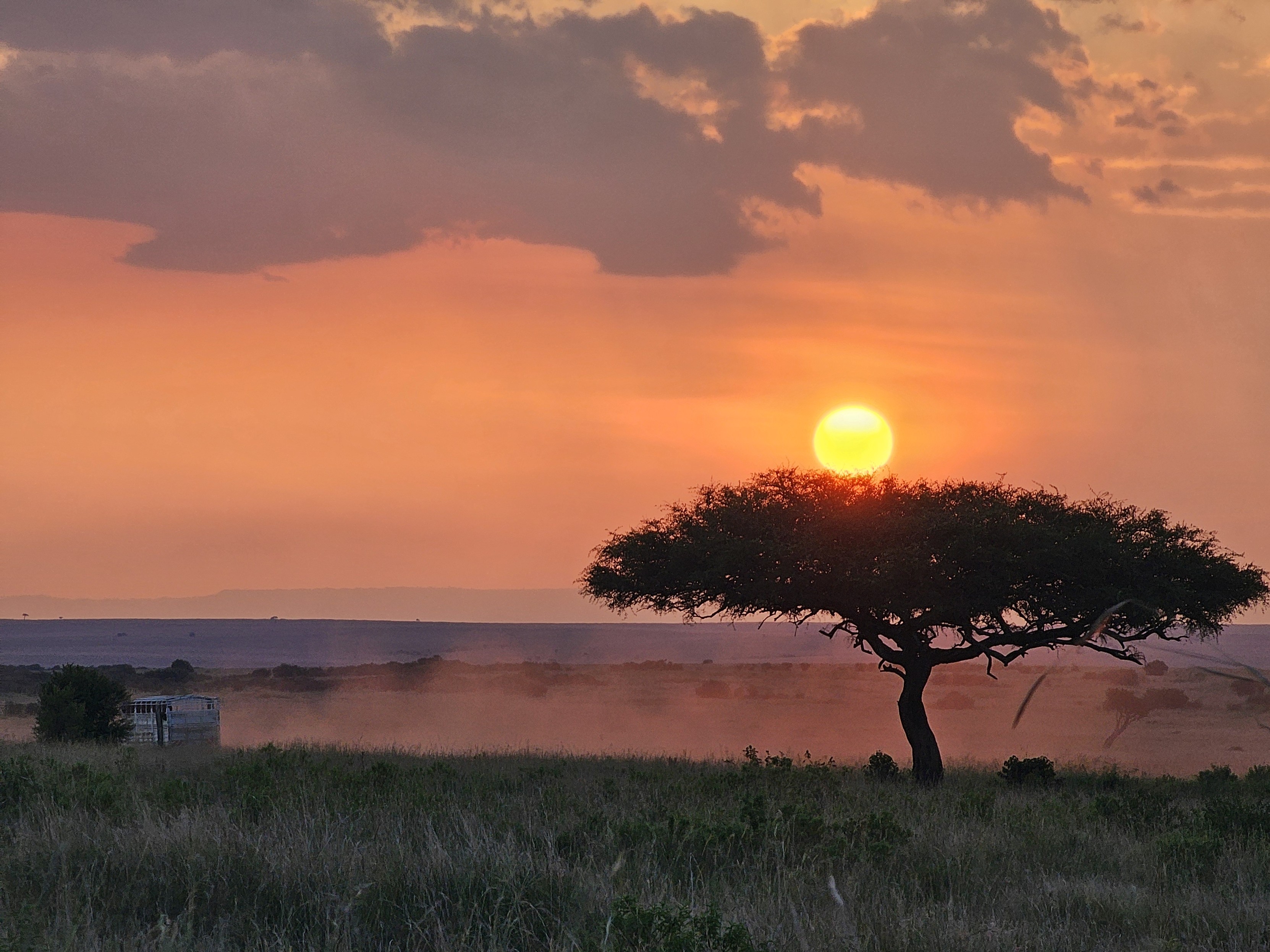 Massai Mara 草原日落