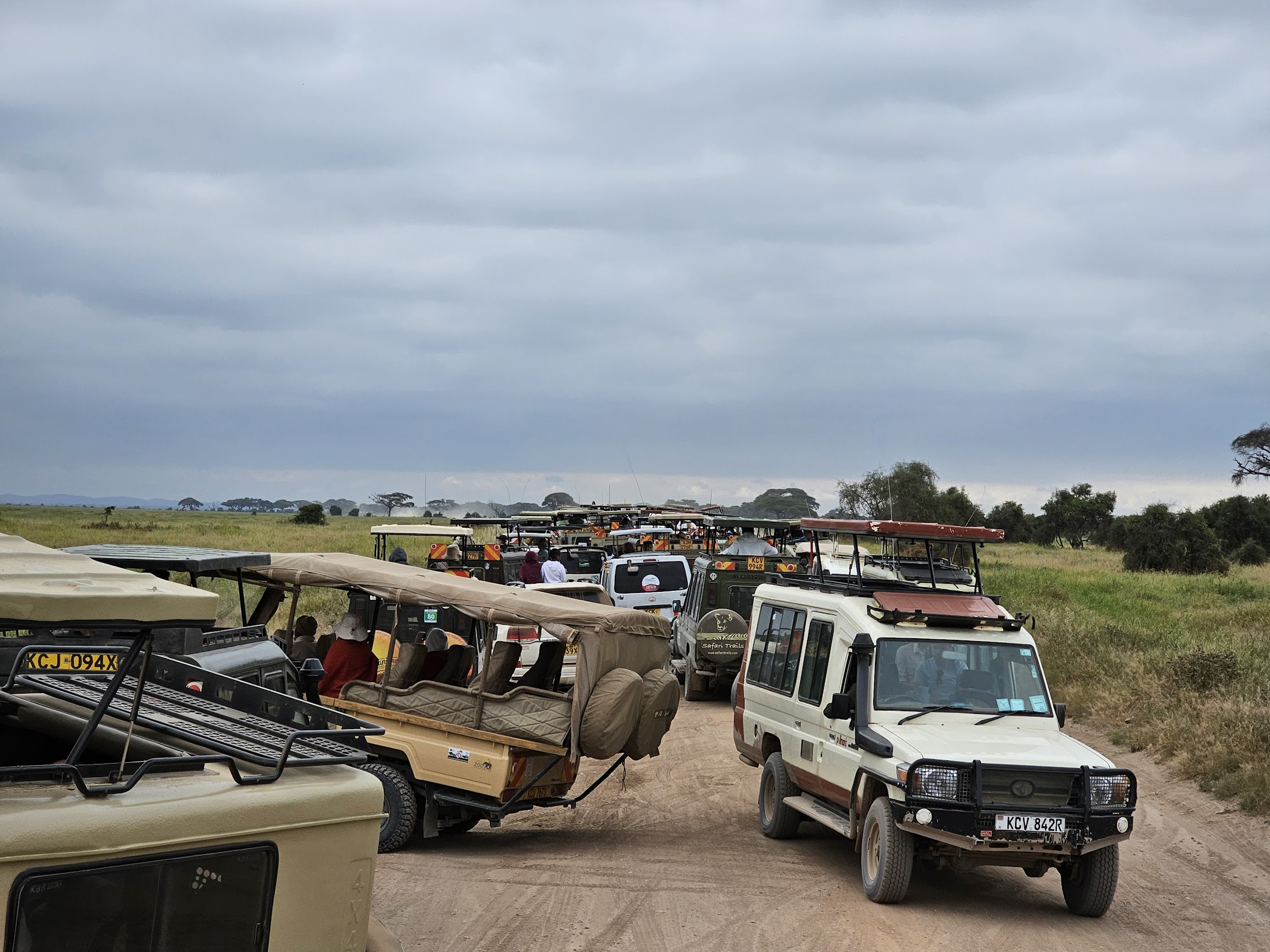 Amboseli 围观猎豹的人群