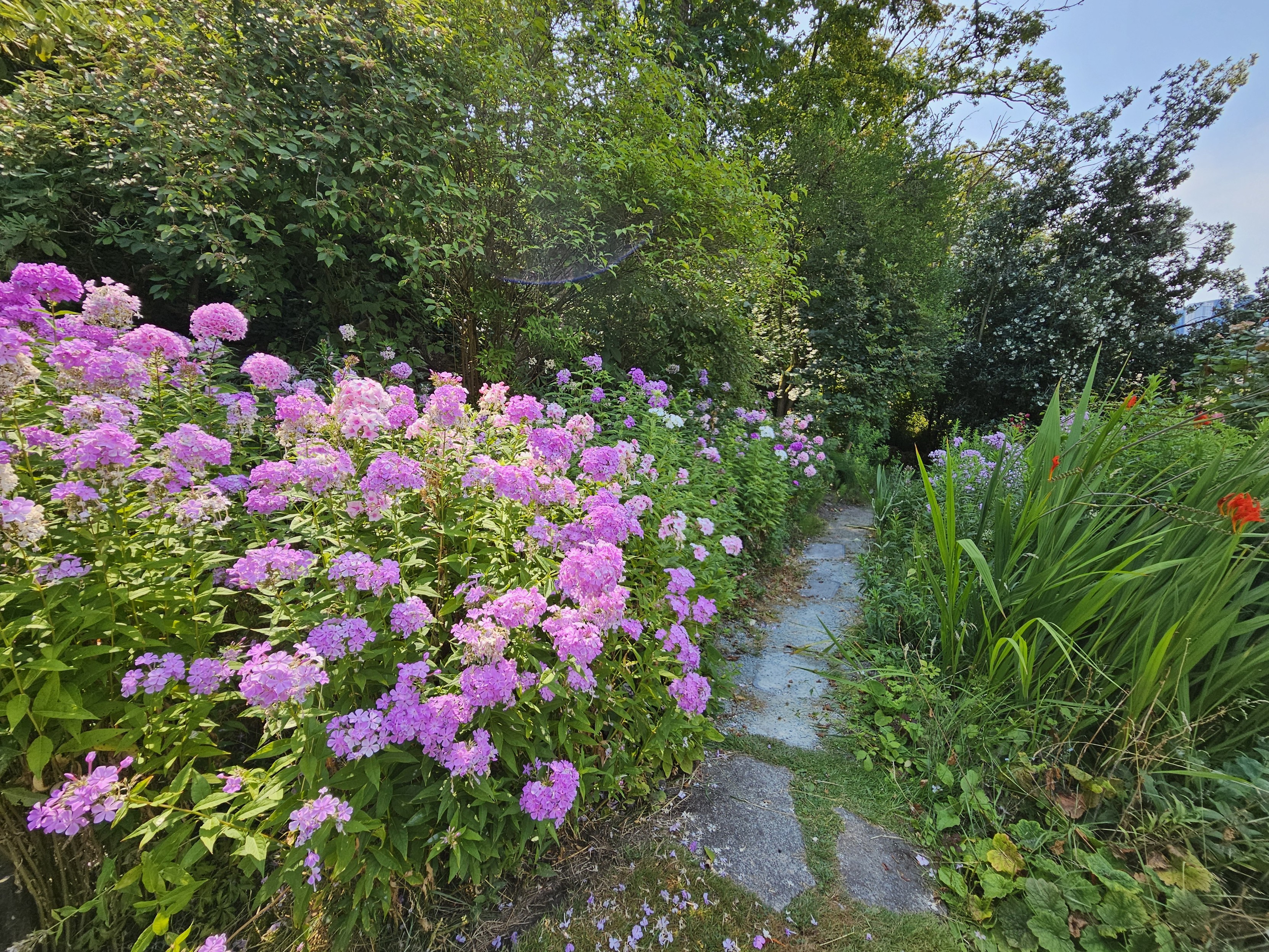 楼梯末端附近的社区小花园 Streissguth Gardens