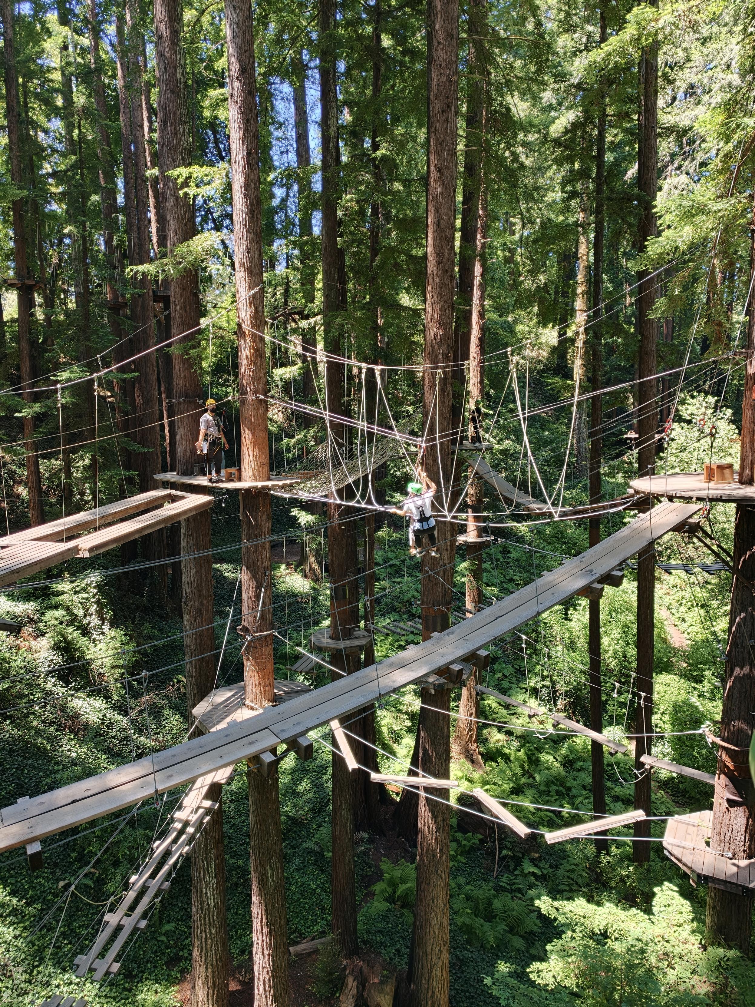 Offsite 玩 rope course 还挺有趣且验收了健身成果超稳