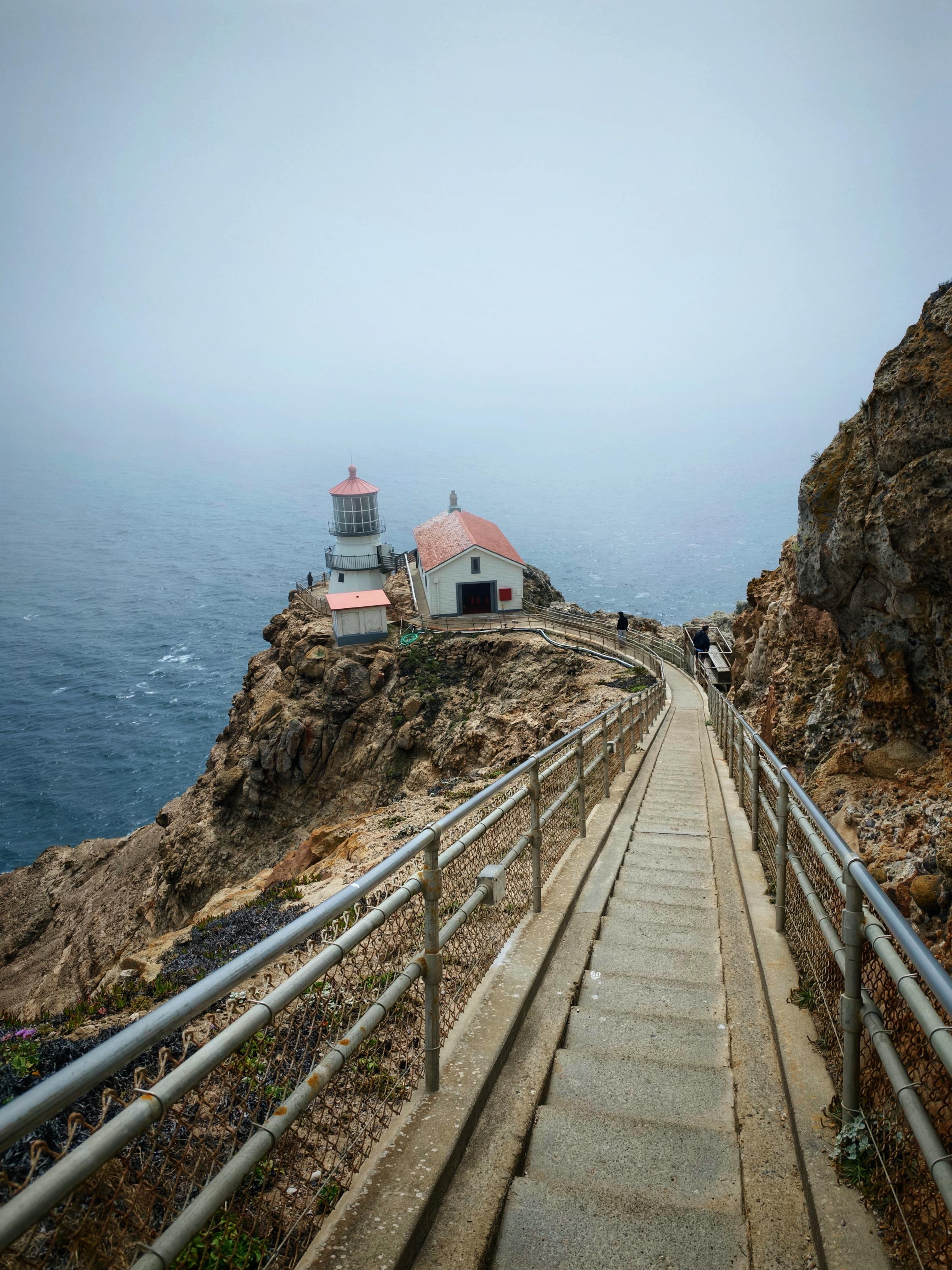 Point Reyes 整体惊喜