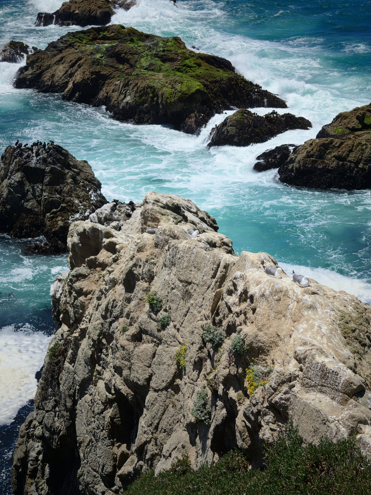 Bodega Bay 小镇也惊喜