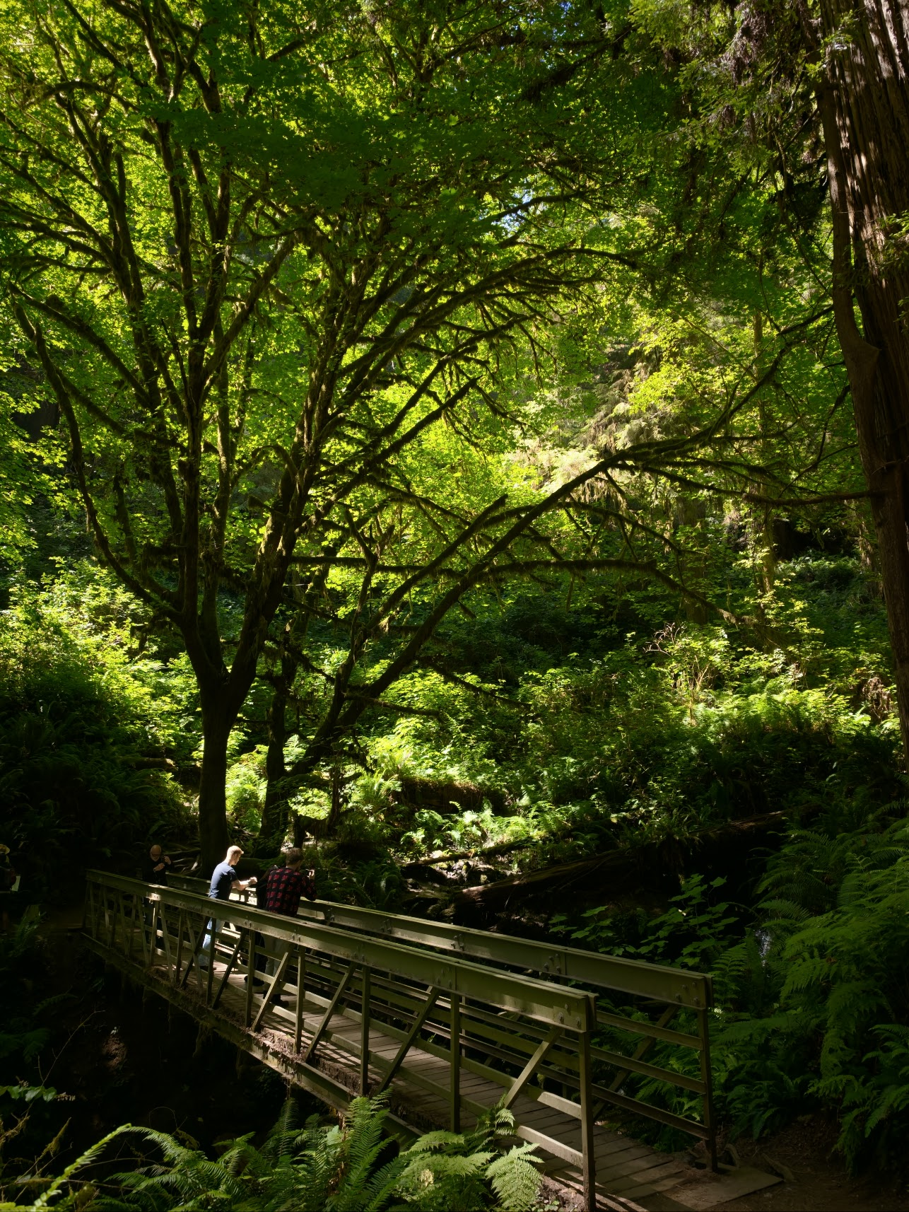 Trail 名的小瀑布（在画面右边）