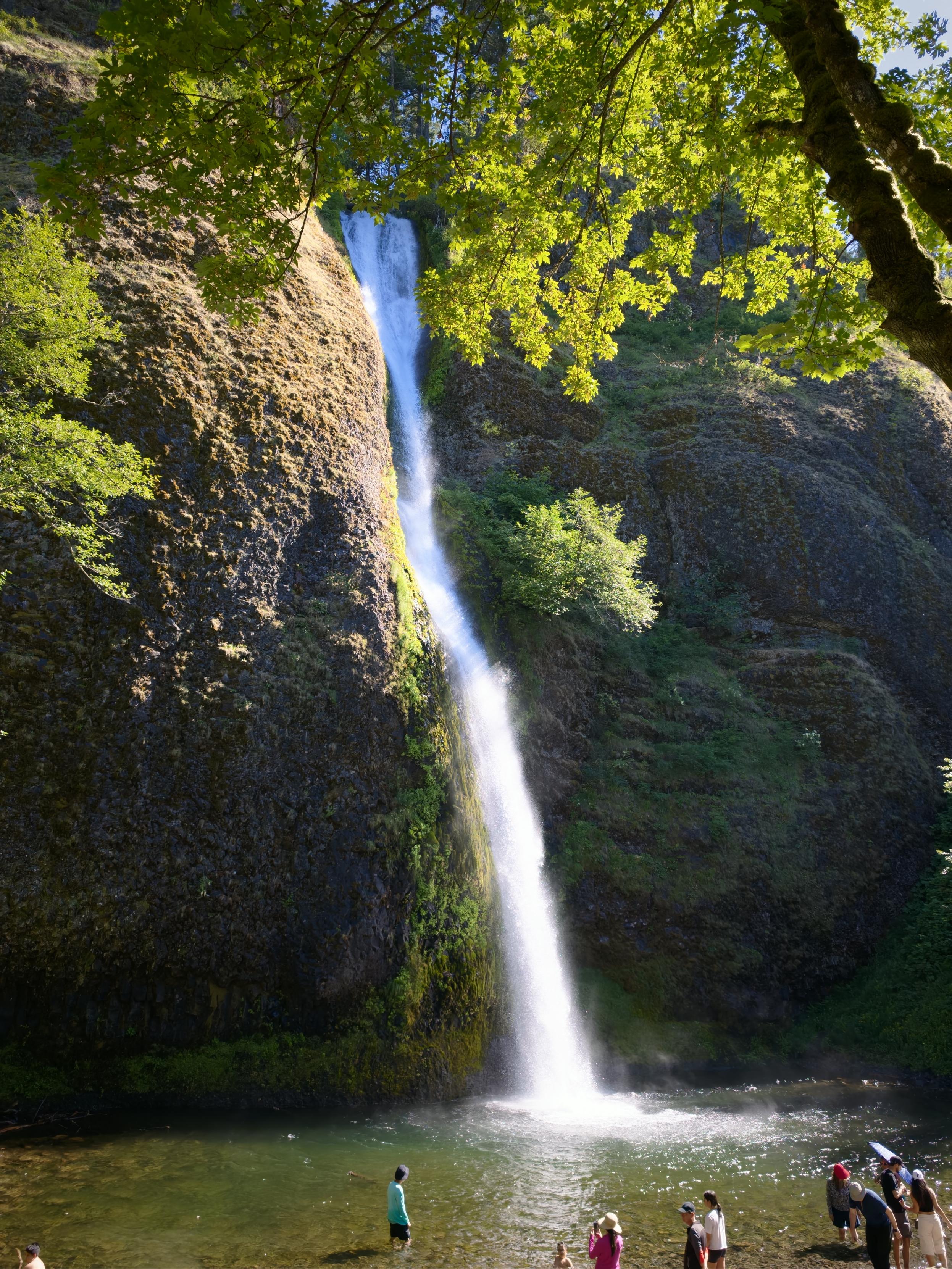 Ponytail Falls 这个阳光树影下在瀑布上投射出的小丁达尔效应还挺仙的，可惜停车场旁边就是，人真的太多了。