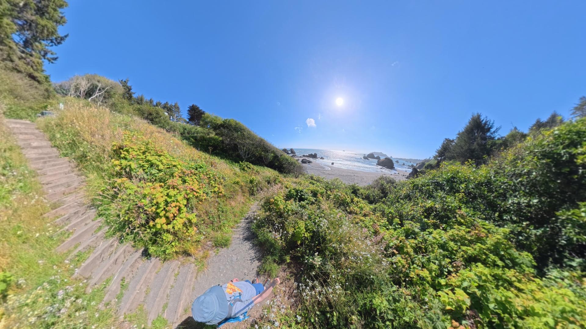 有点给我 Oregon 海岸线上挺喜欢的景点 Cannon Beach 里一个花园小径下到海边的感觉，超喜欢这种秘境拨云见日的感觉