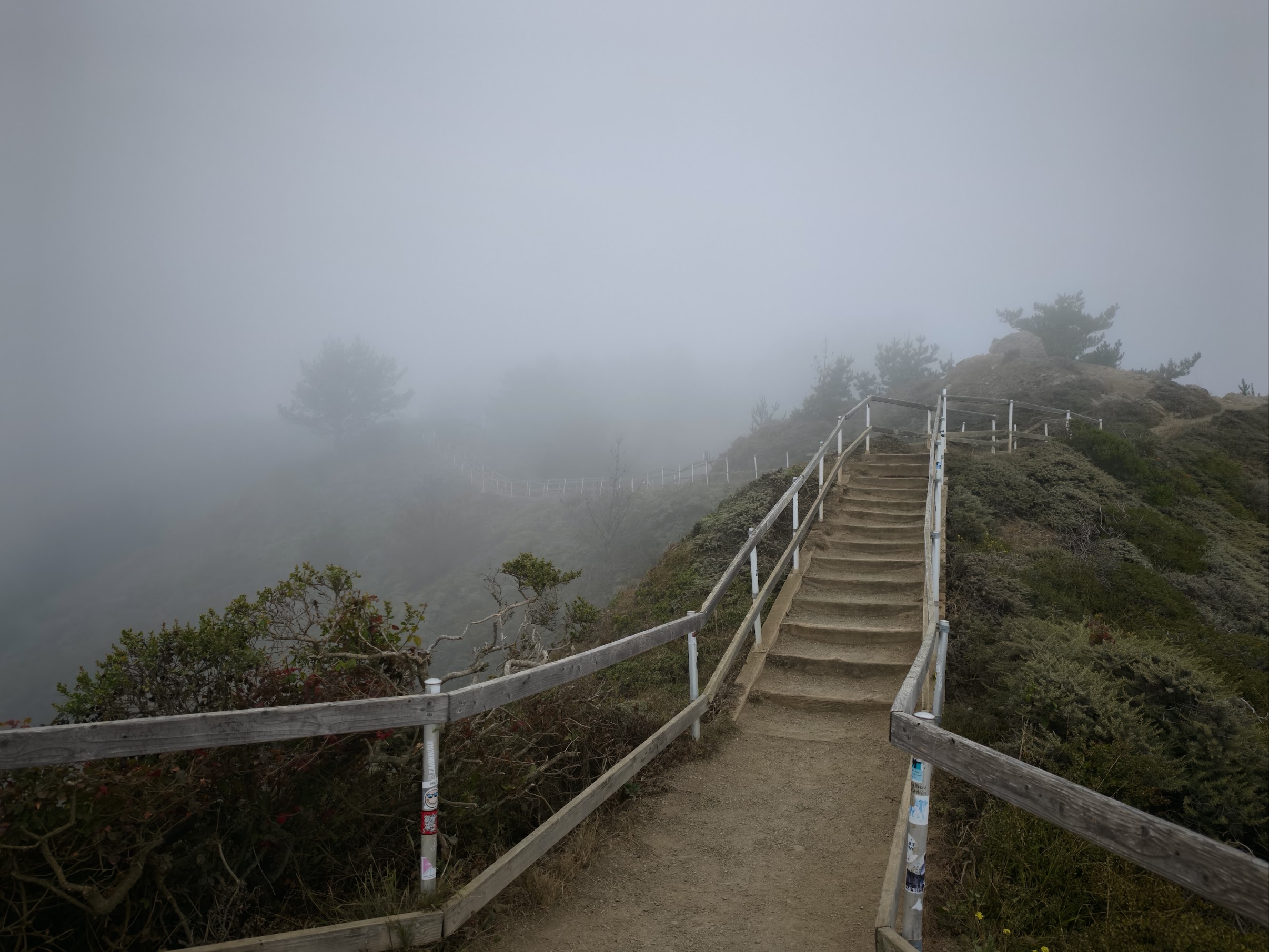 寂静岭般的 muir beach